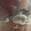 samialexander - @samialexander2 - TikTok