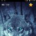 Sami Amer - Facebook