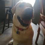 Sami Ayyadi - @sami_ayyadi - Instagram