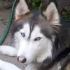 samibates1 - @samibates1 - TikTok