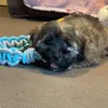 Sami Coleman - @sami.potato - TikTok