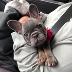 Sami Graham - Facebook