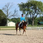 Sami Gray - @smg.eventing - Instagram