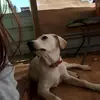 Sami Higginson - @sami.higginson - TikTok