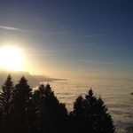 Sami - @_sami_jaber_ - Instagram
