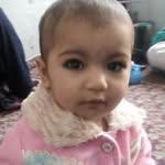 Sami Javed - @sami.javed.754 - Instagram