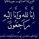 sami Kassem - @kassem7304 - Instagram