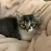 Sami Kassem - @sami.kassem2 - TikTok