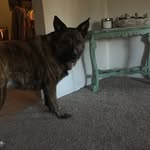 Samikelly - @samikelly73 - Instagram