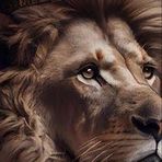 Sami Lin - Facebook
