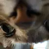 🩶🎚️🩶 - @sami_luvs.logan051424 - TikTok
