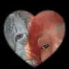sam - @samilucas02 - TikTok