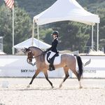 sami macdonald - @samimacdonald.eq - Instagram