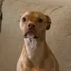 sami - @samimason1 - TikTok