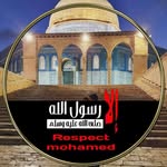 Sami Mohsen - @sammymohsen80 - Instagram