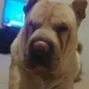 Sami Molina - @sami.molina3 - TikTok