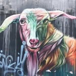 Sami Mutlu - @ssamimutlu - Instagram