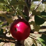 Sami Mutlu - @sami_mutlu__ - Instagram