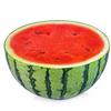 Sami Nichols - @halfawatermelon8 - TikTok