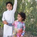 Obaid Samim - Facebook