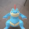 Sami Pack - @samipack - TikTok