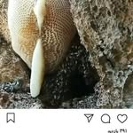 سامی - @sami.pagee - Instagram