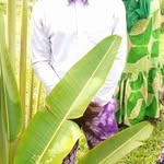 Sami Paul Justin Poda - @samipauljustin - Instagram