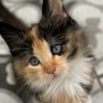 Samiporter - @samiporter66 - Instagram