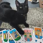 Sami Potter - @princesam1201 - Instagram