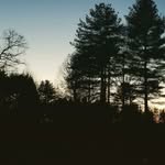 sami potts - @enchanted.views.photography - Instagram