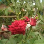 Samy Powers - Facebook