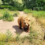 Sami Proctor - @sami00212 - Instagram