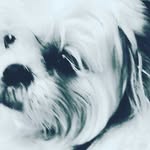 samiquinn - @samiquinn7 - Instagram