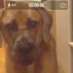 Sami - @sami_reese_m - Instagram