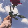 samireid970 - @samireid970 - TikTok