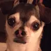 ssami_riley - @ssami_riley - TikTok