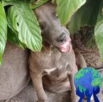 Sami Rocha - Facebook