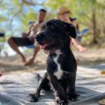 Sami🐶🩵 - @sami_babb_rowe - Instagram