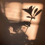 samirowe - @luoyanying32 - Instagram
