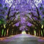 Sami Saab - @saabsami1970 - Instagram