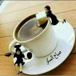 Sabour Sami - @sabour.sami.9 - Instagram