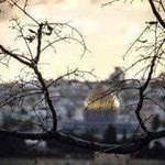 سامي سلامة - @sami_salameh_3 - Instagram