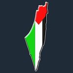 Sami Salameh - @sami_salameh10 - Instagram