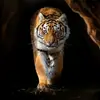 Sami Salameh - @sami.salameh3 - TikTok