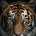 Sami Sanchez - Facebook