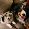 Luna & Maddie - @samiisanders - TikTok