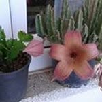 Sami Sert - @samisert1951 - Instagram