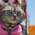 👽Sami_Sims👽 - @samira_sims5 - Instagram
