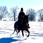 Sami Sims - @arrowsequine - Instagram