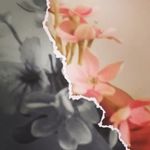 🩵 사미 🩵 - @_sami__singh_ - Instagram